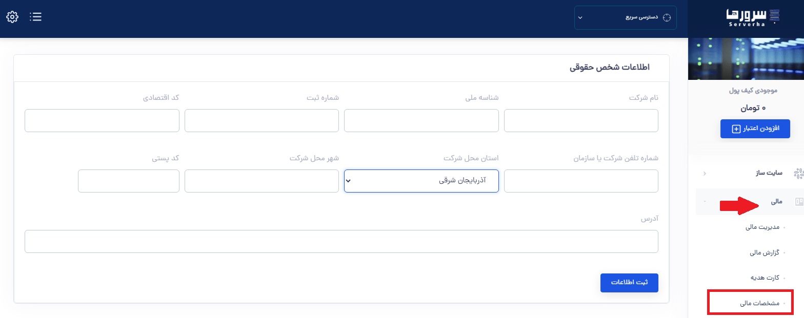 بخش مشخصات مالی در پنل کاربری